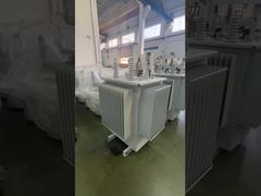 View 80kVA 10kV Oil Immersed Distribution Transformer S(B)22-NX1 Energy Efficiency Level 1 Demo
