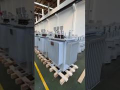 View H61 Oil Immersed Distribution Transformer 10-30kV 160kVA Demo