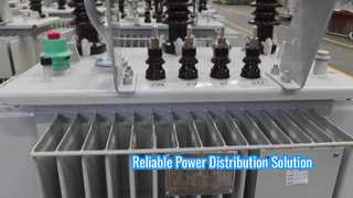 S-100/20 Distribution Transformer 